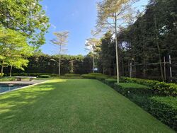 Victoria Park (D10), Detached #467184711